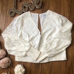 Long sleeve cropped blouse design by Bar III